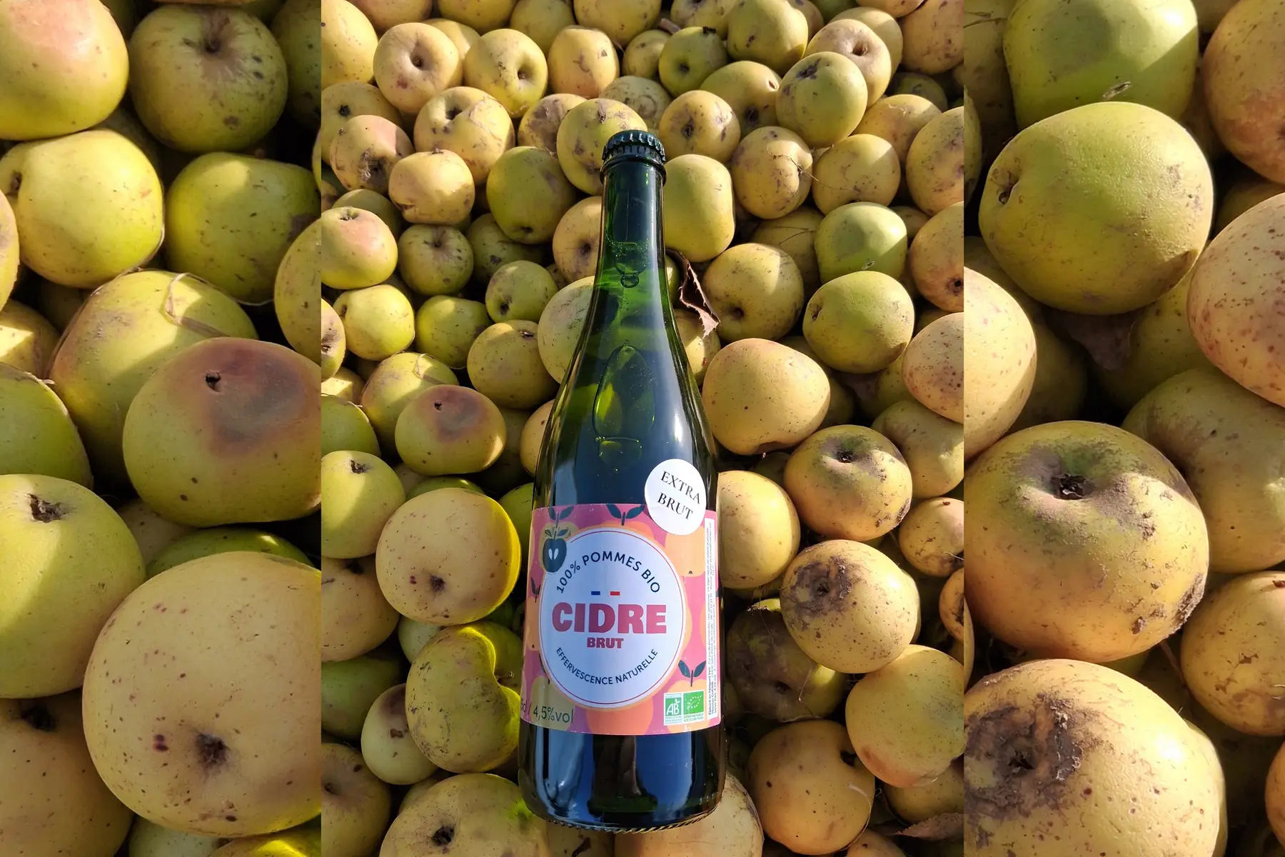 cidre extra-brut bio 75cl