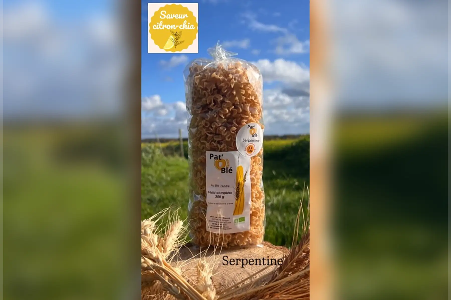 Serpentine CITRON CHIA