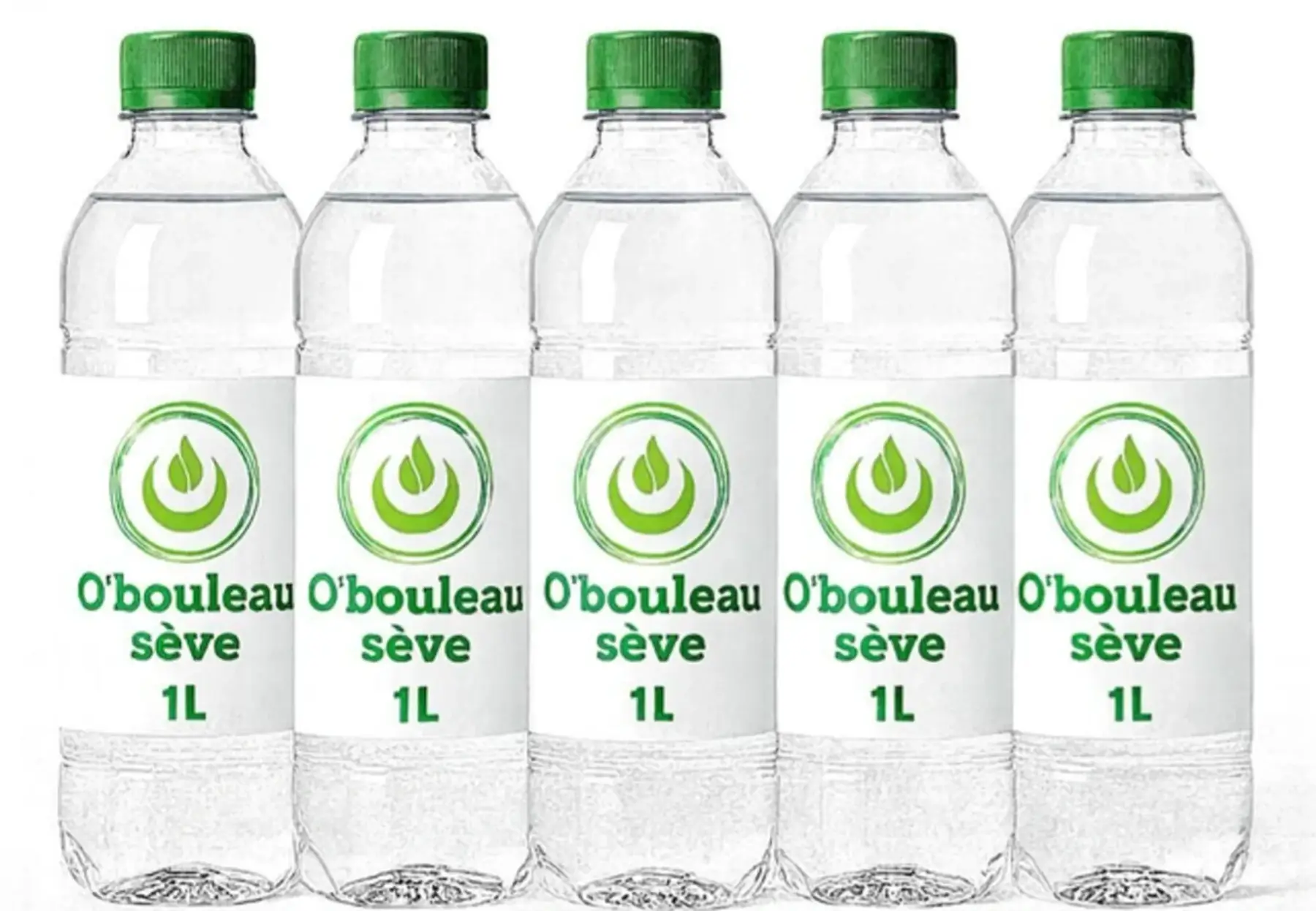 Cure 5 litres de sève de bouleau fraîche