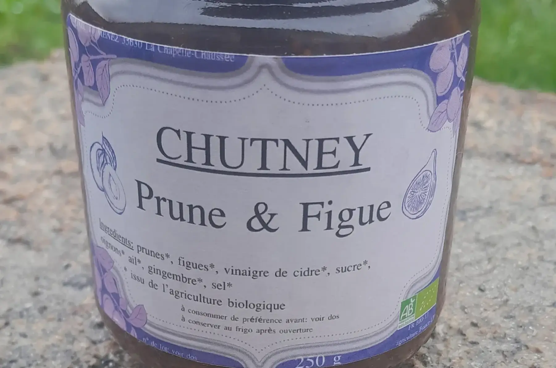 chutney prune figue