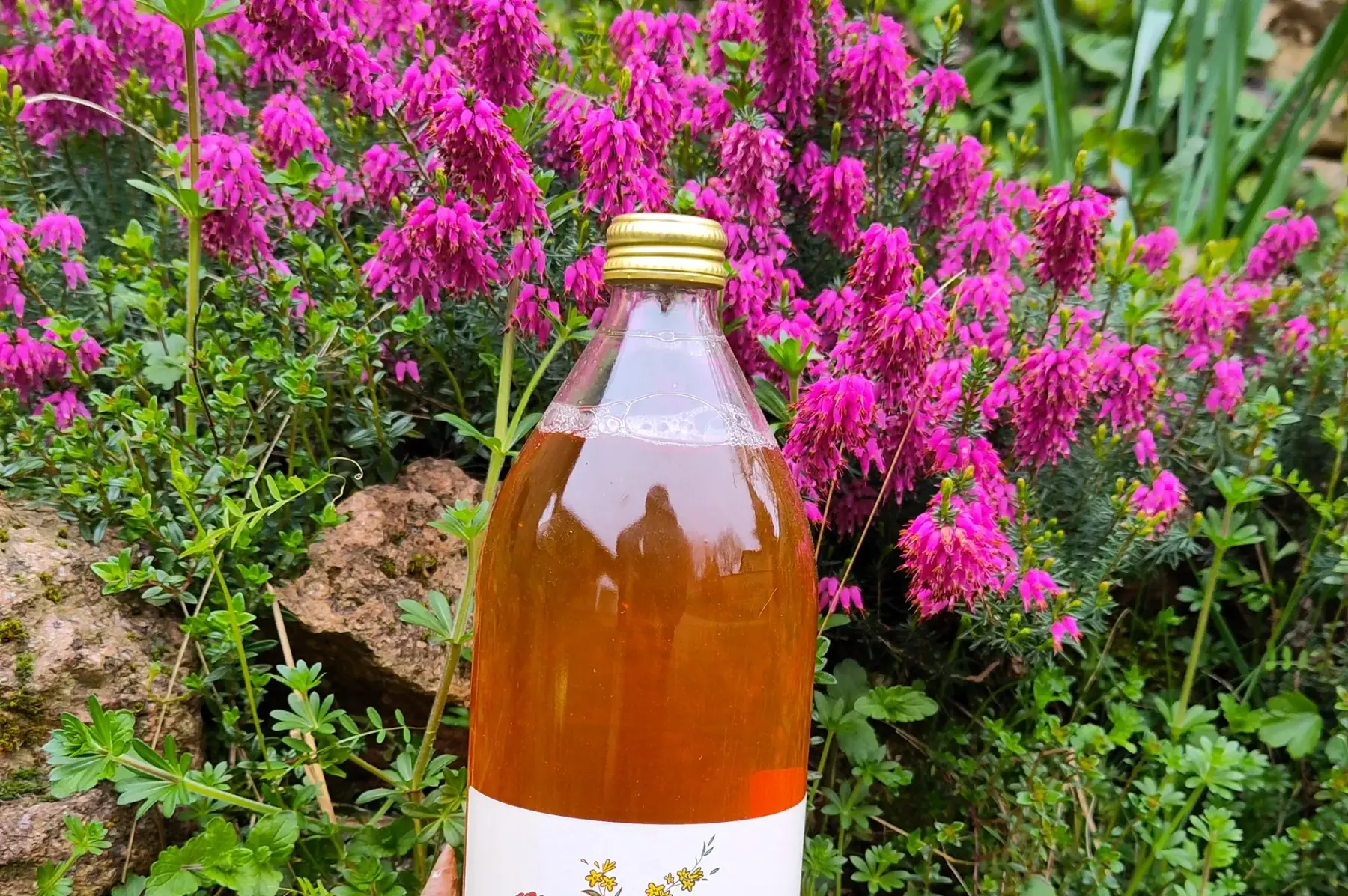 Jus de pomme Plaisir