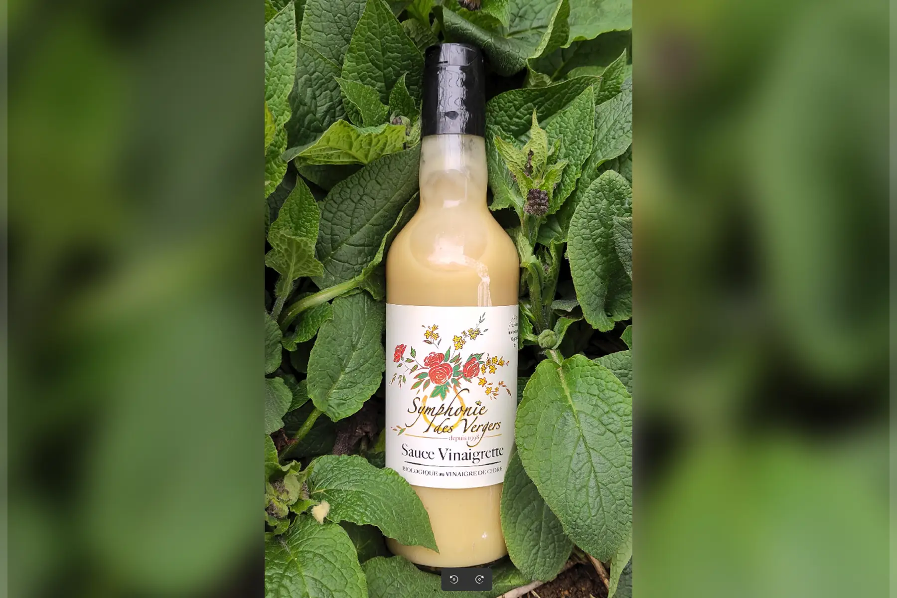 Vinaigrette