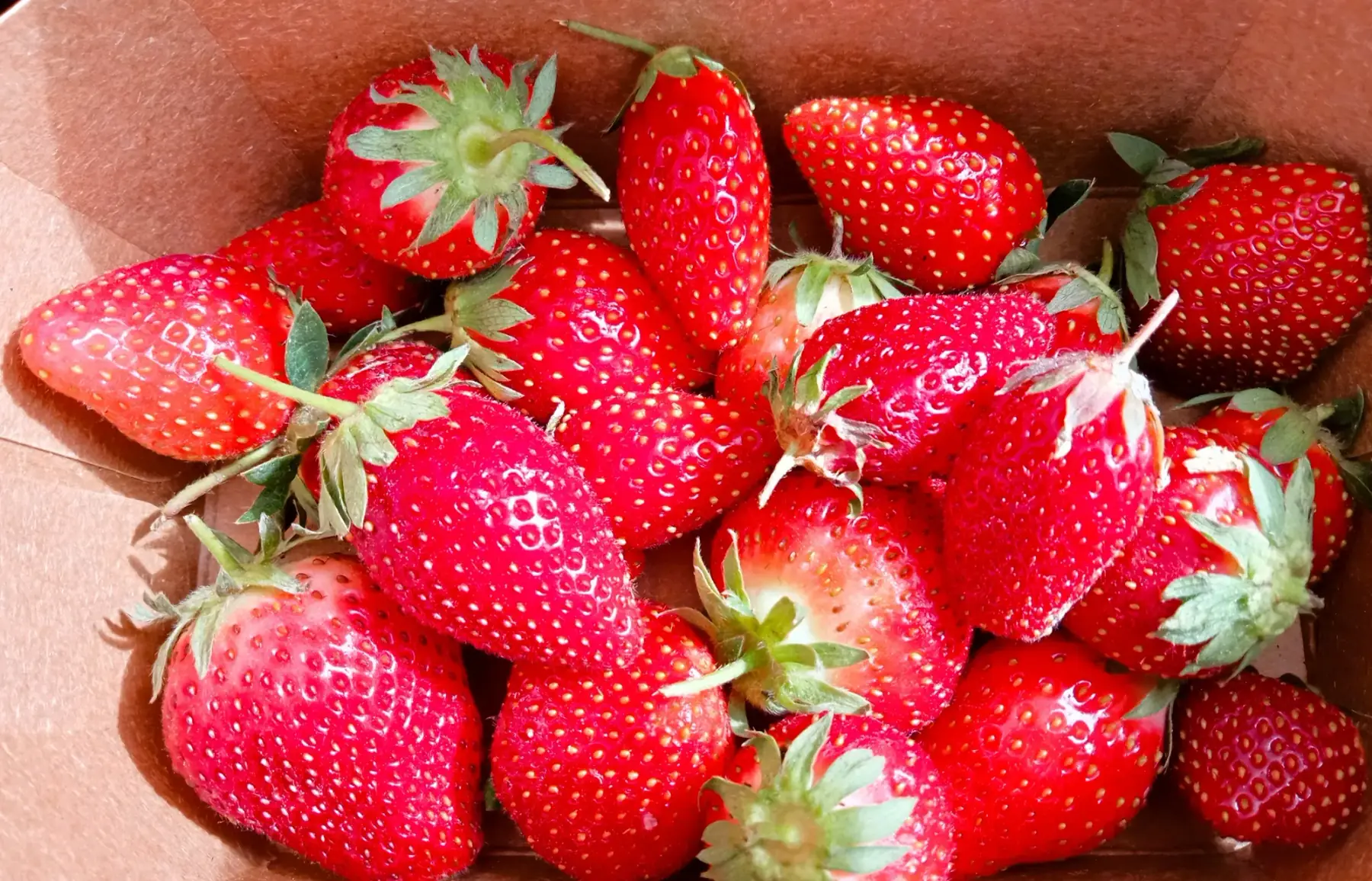 Fraises