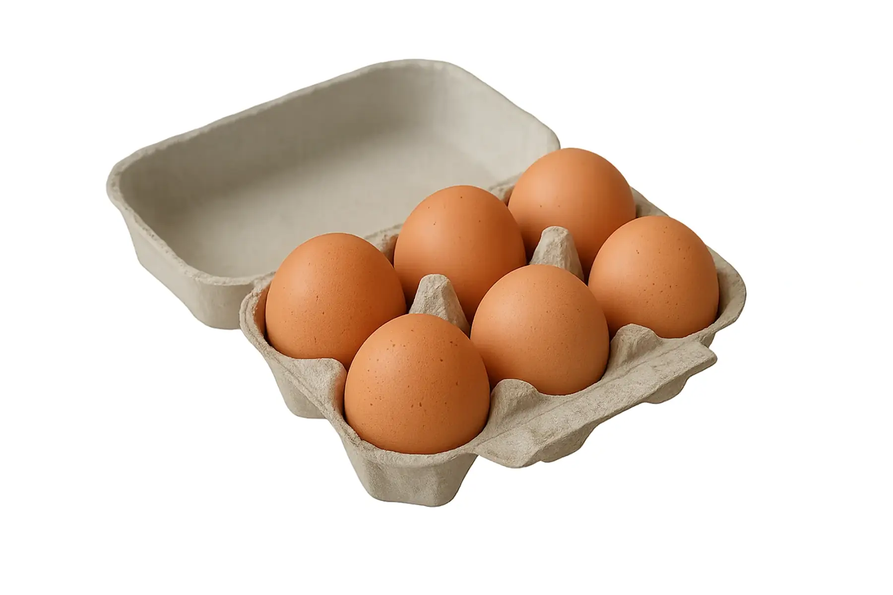 Boite de 6 oeufs