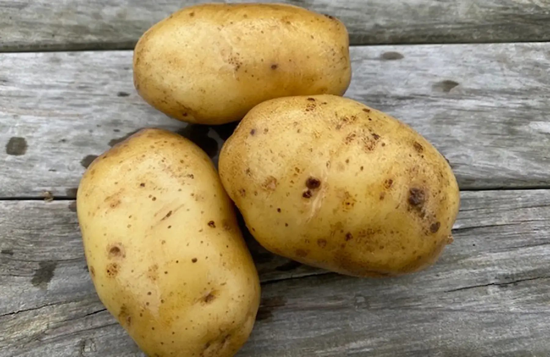 Pommes de terre