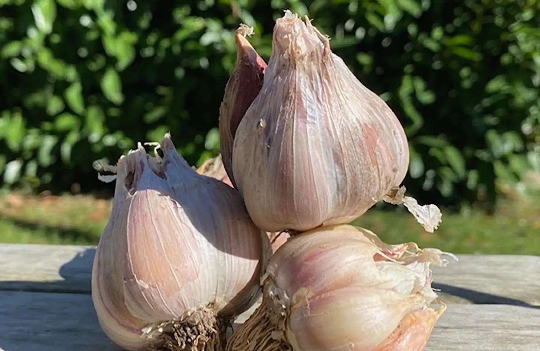 La Ferme du Bief