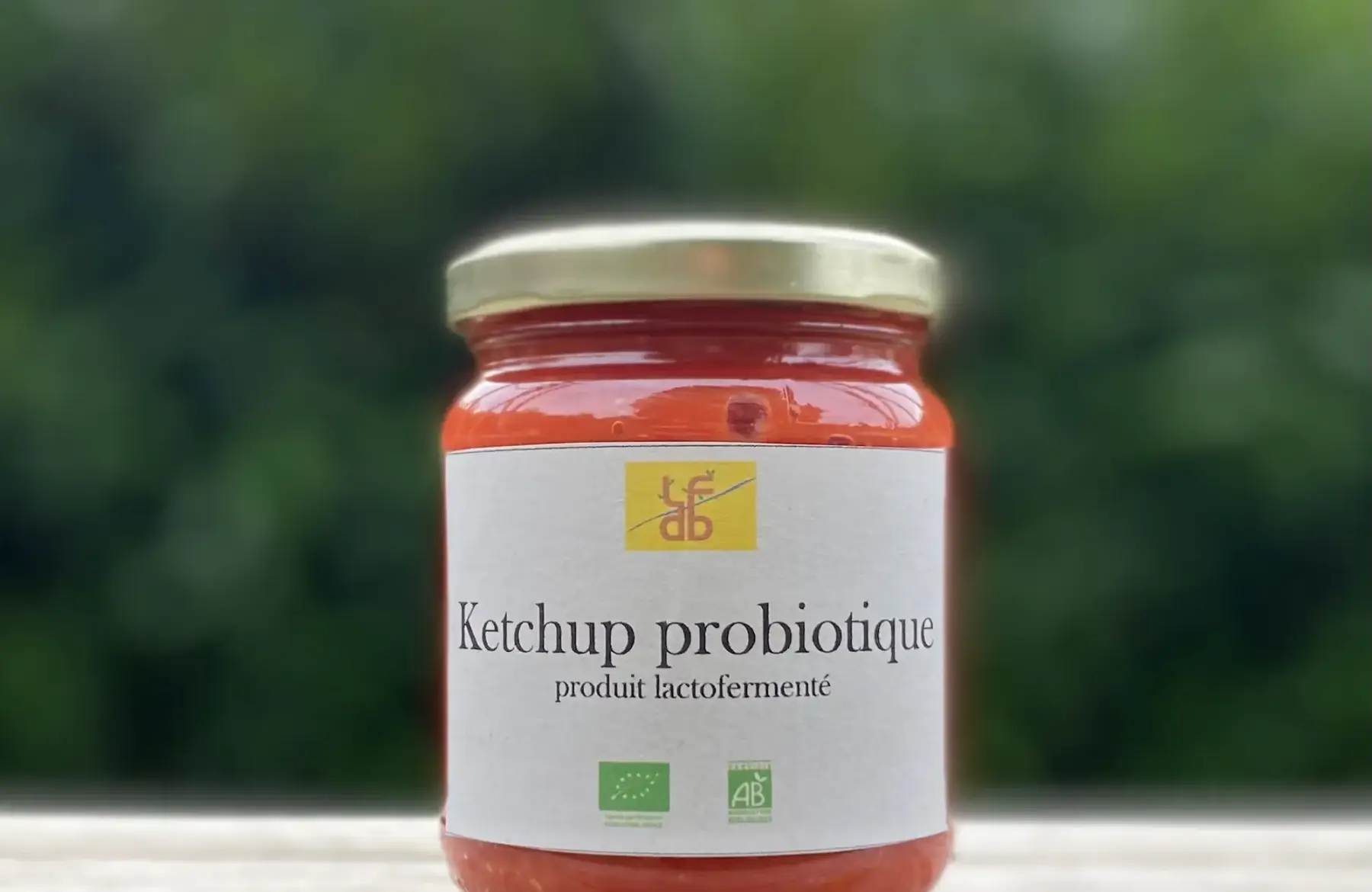 Ketchup probiotique