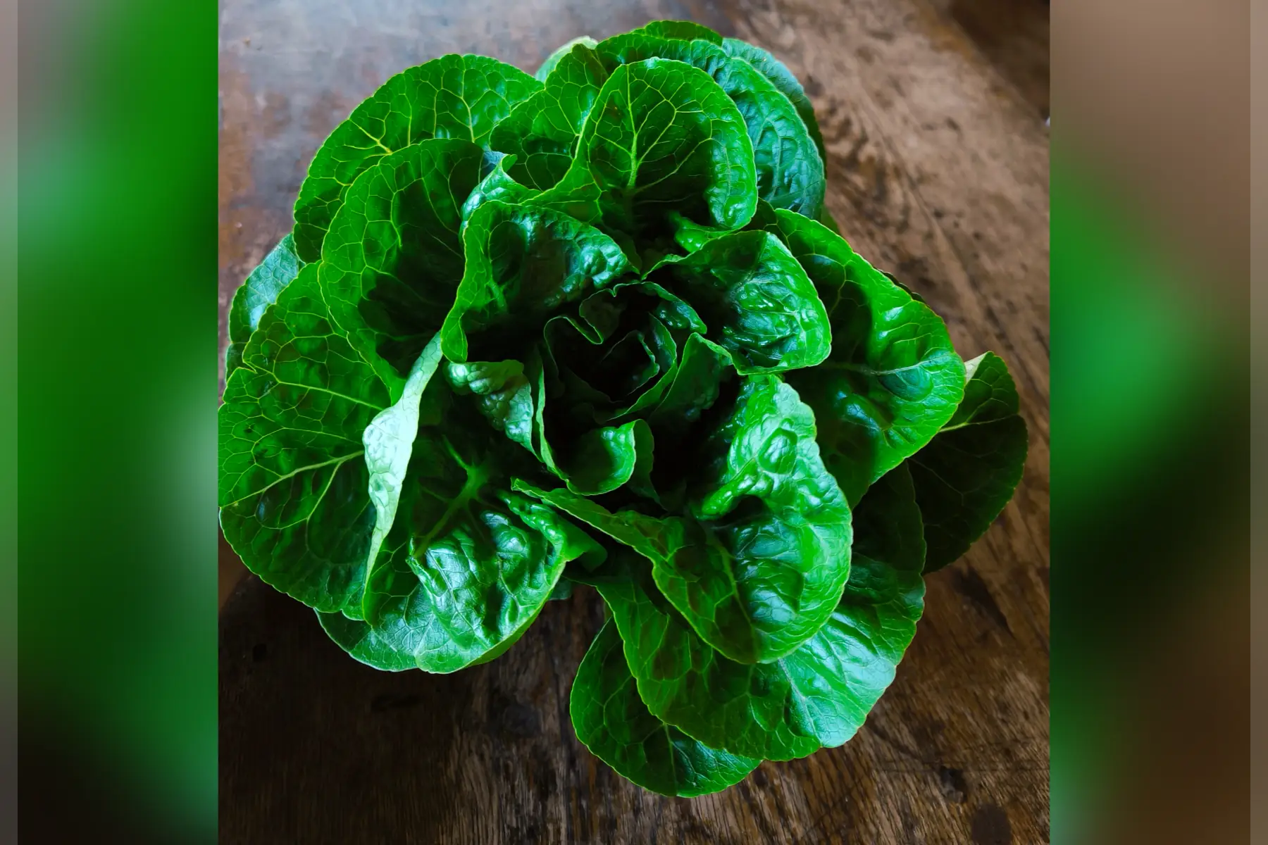 Salade pain de sucre