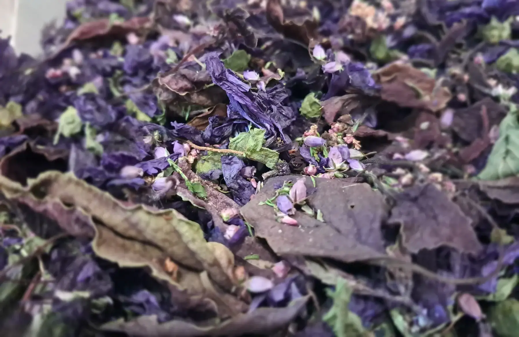 Infusion Mél "Évasion bleue"