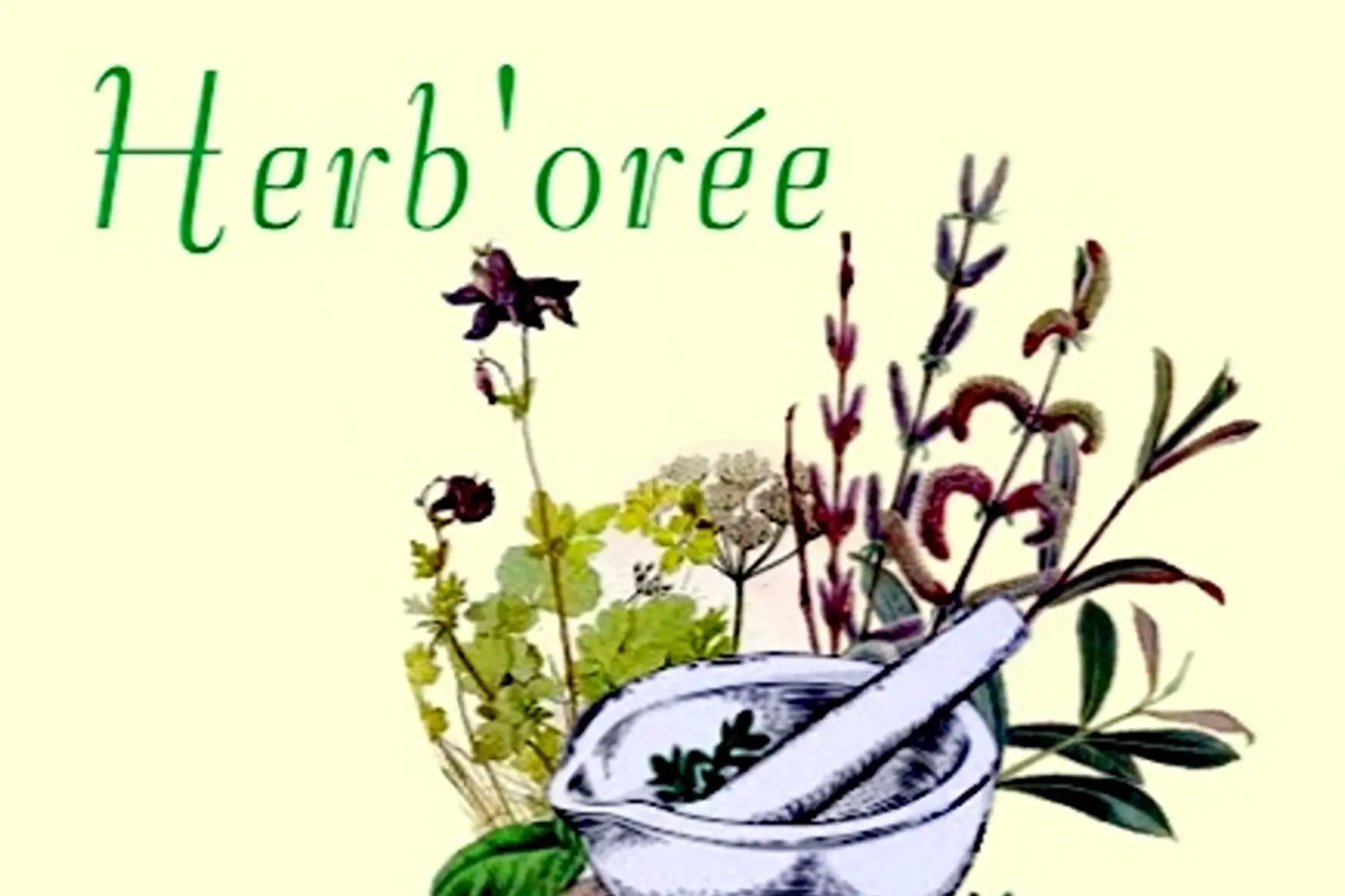 Herbes provinciales du Born