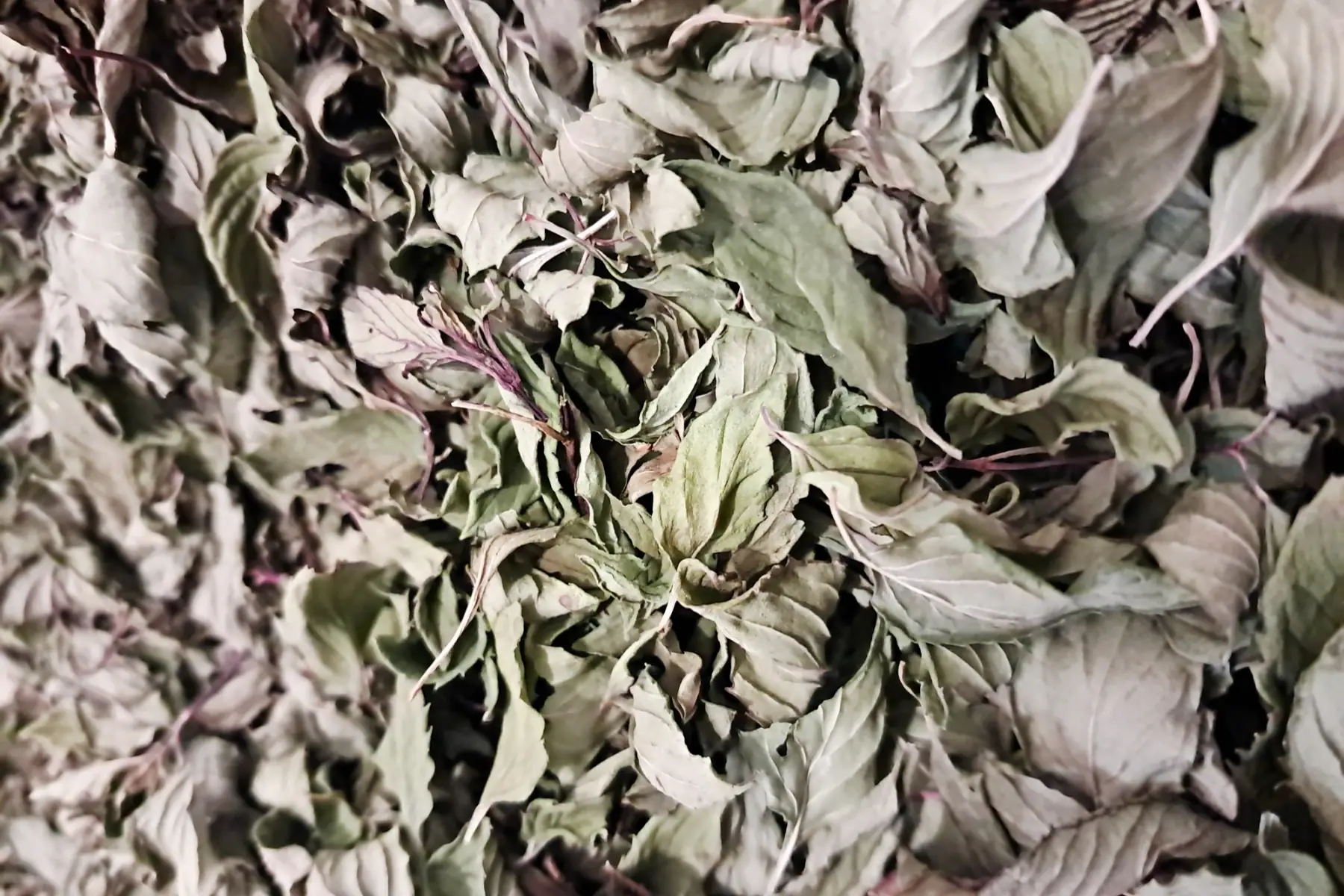 Infusion PS Menthe Bergamote