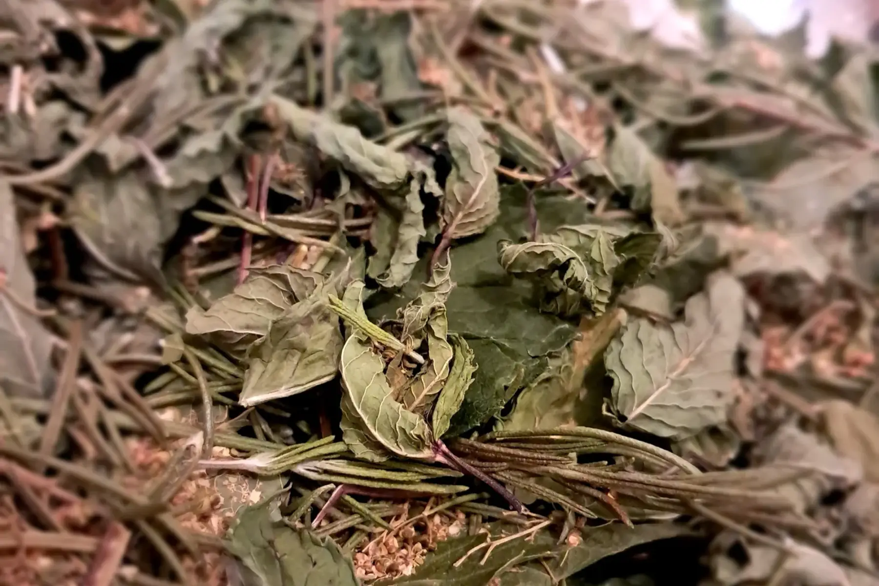 Infusion Mél "Souplesse"