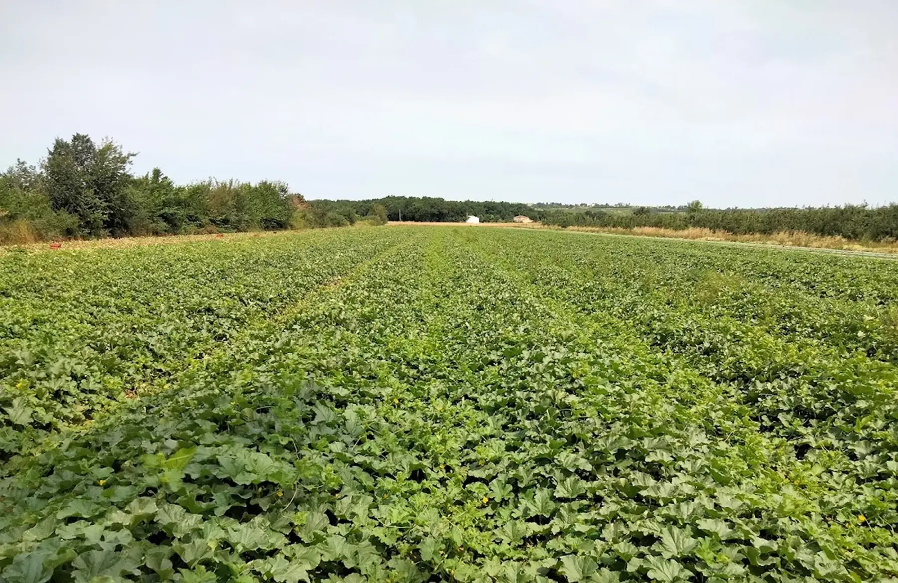 LA FERME DES DEUX RIVES