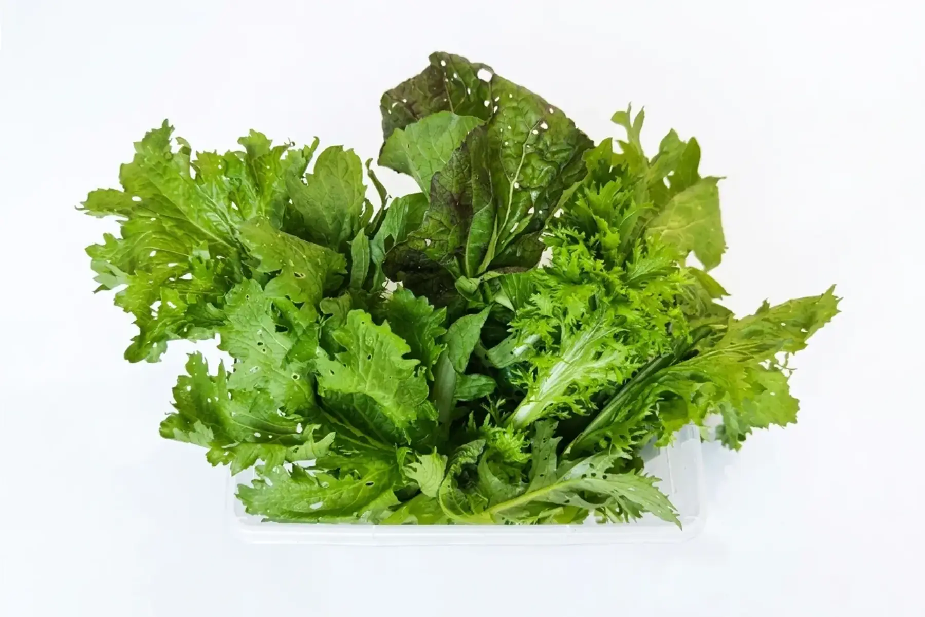 Mesclun asiatique