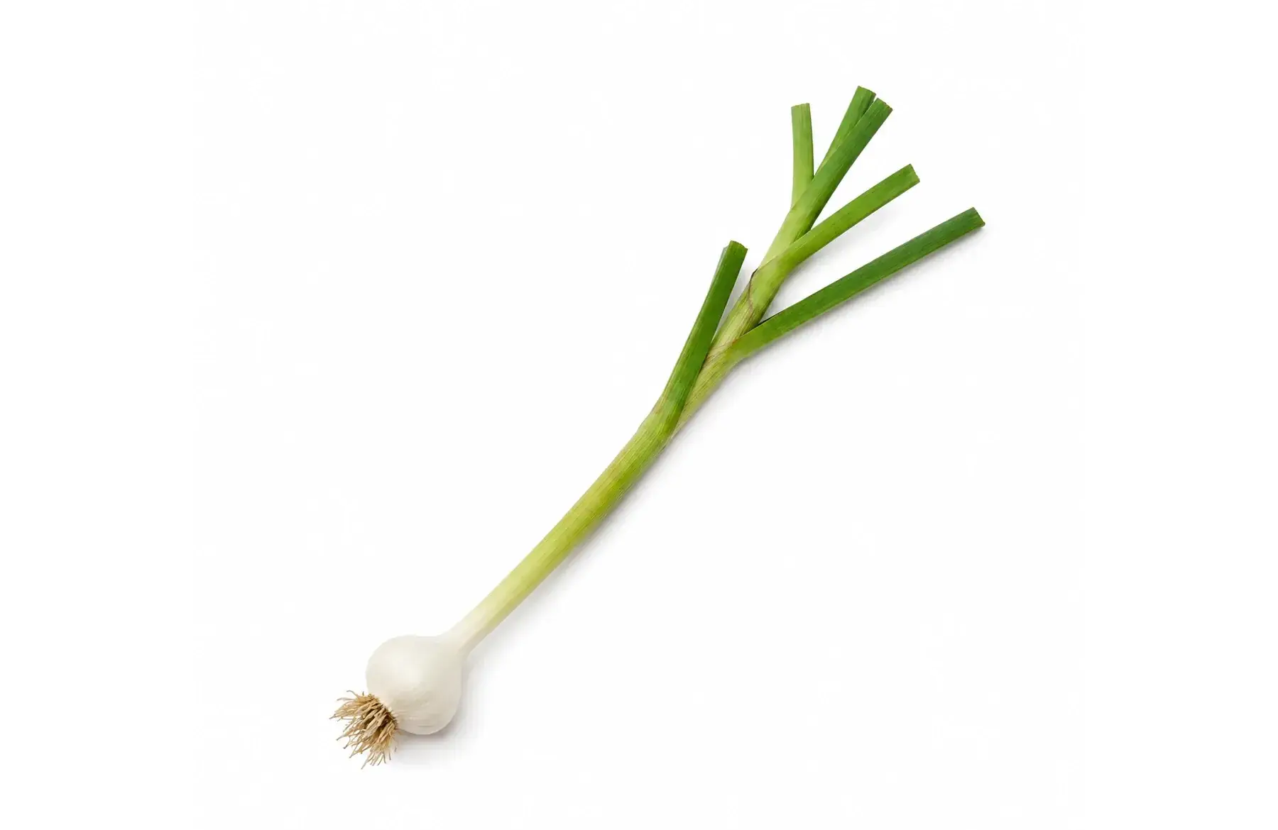 Ail demi-sec