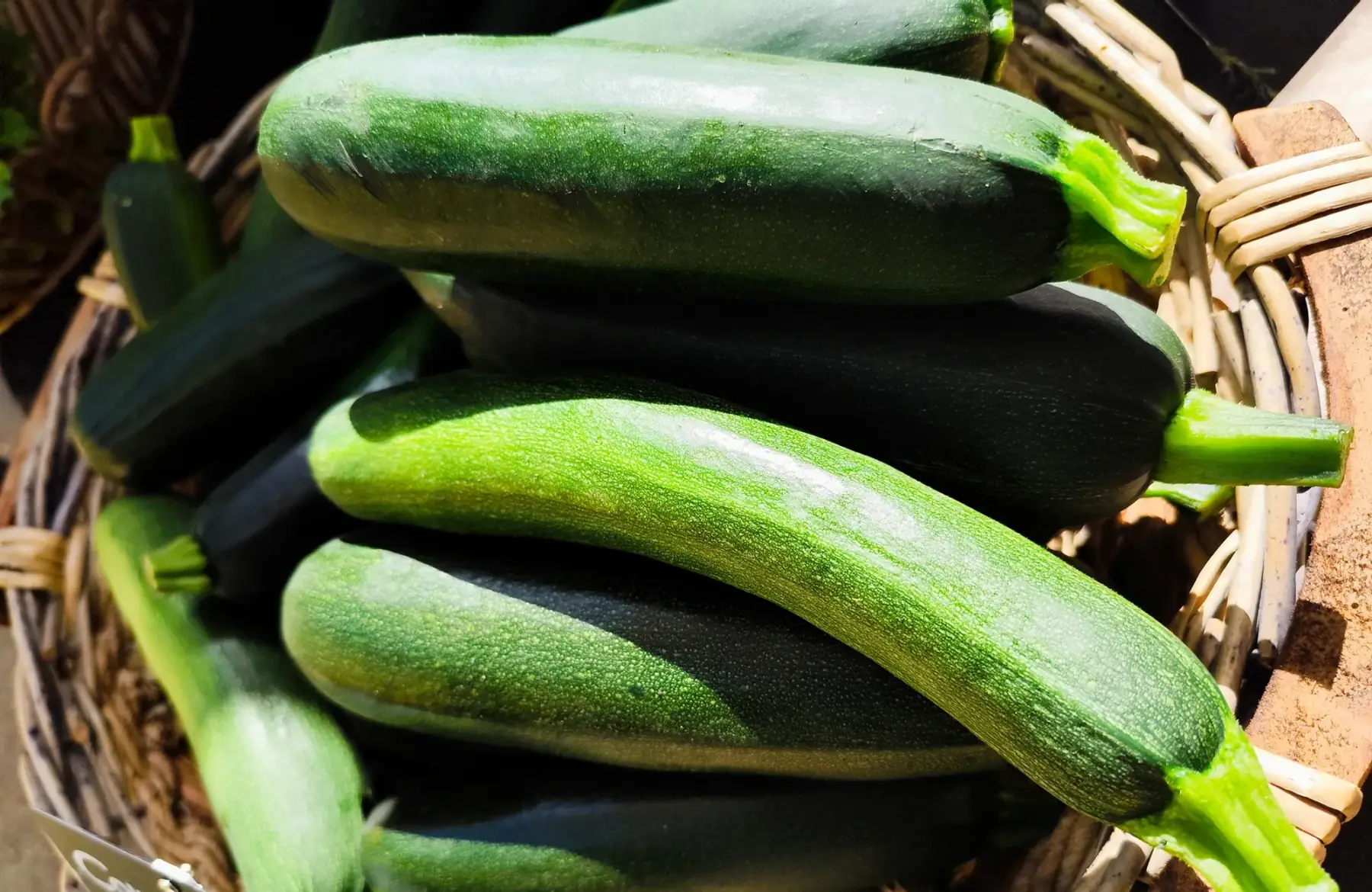 Courgette