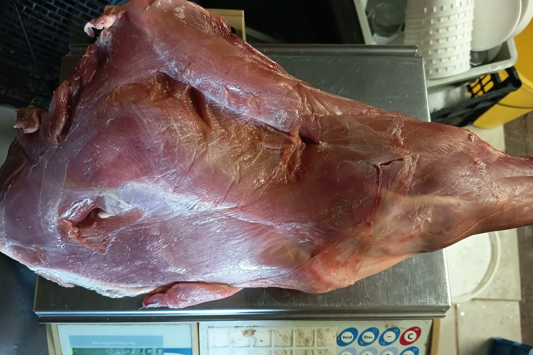 Cuisse de veau