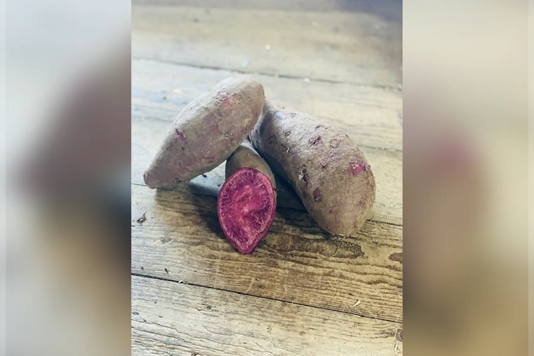 Patates douces Sakura