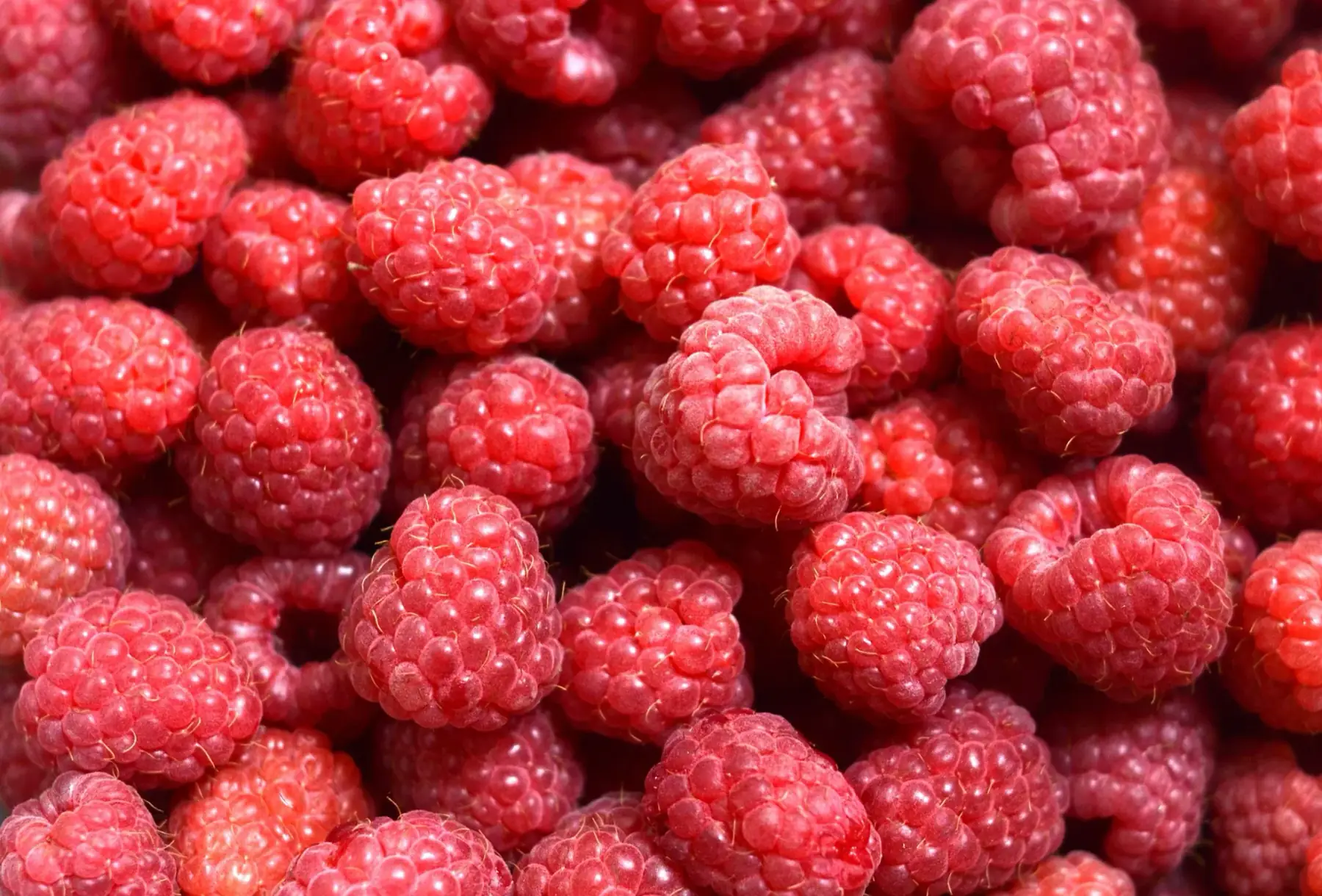 Framboise