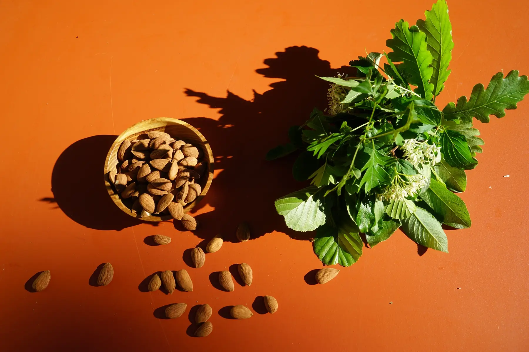 Graines : Amandes grillées